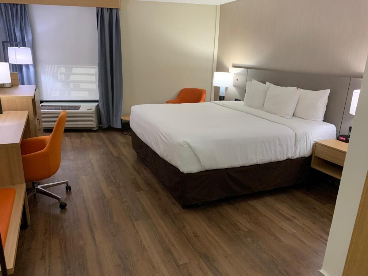 Superior King Suite - Non smoking,1554106153:JPEG